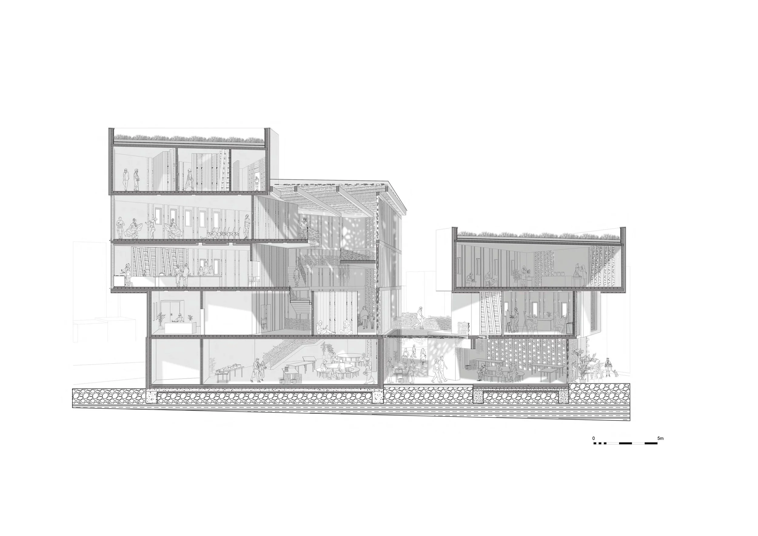 DS4: the Timber Revolution: Re-connection — The Oxford School of